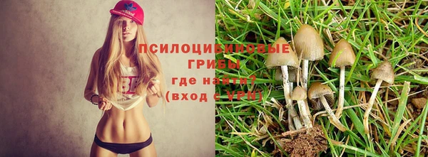 хмурый Осташков