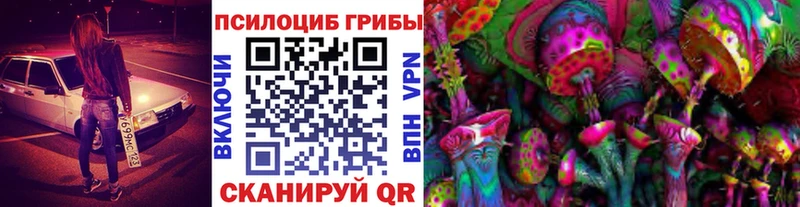 Псилоцибиновые грибы Psilocybe  блэк спрут tor  Александровское 