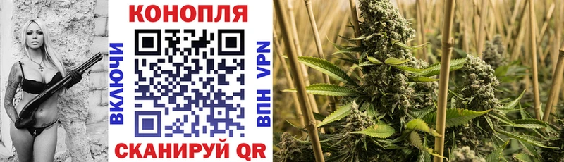 Конопля тримм Александровское
